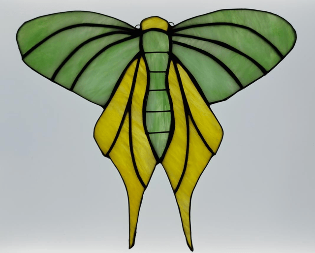 Moth