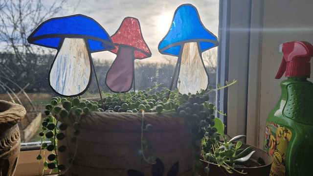 Mushdude Plant Buddy