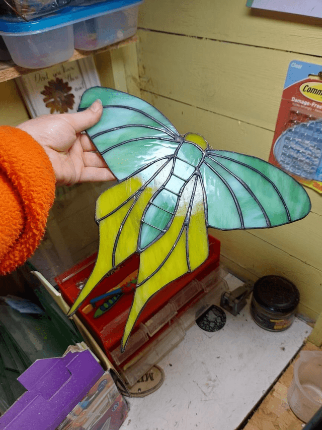 Moth