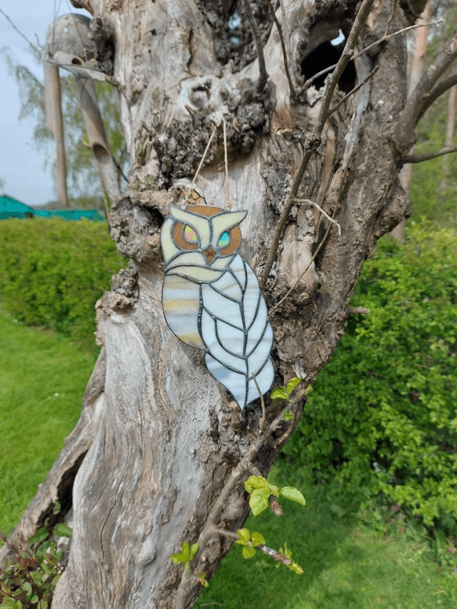 Owl