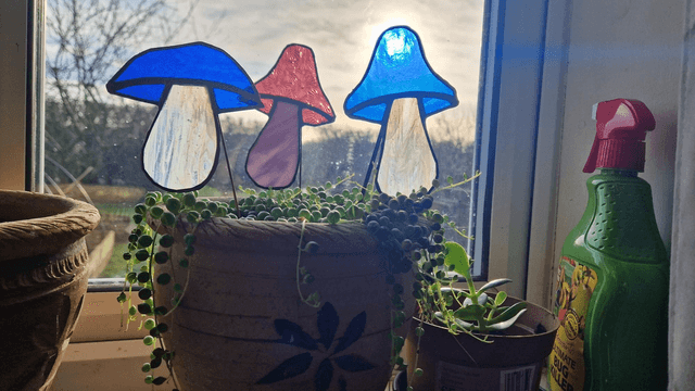 Mushdude Plant Buddy