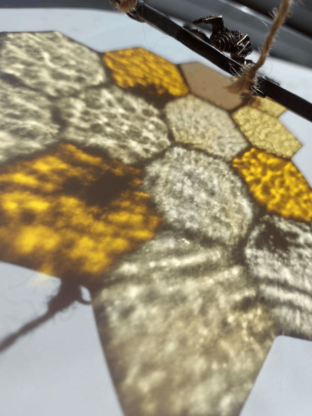 Honeycomb