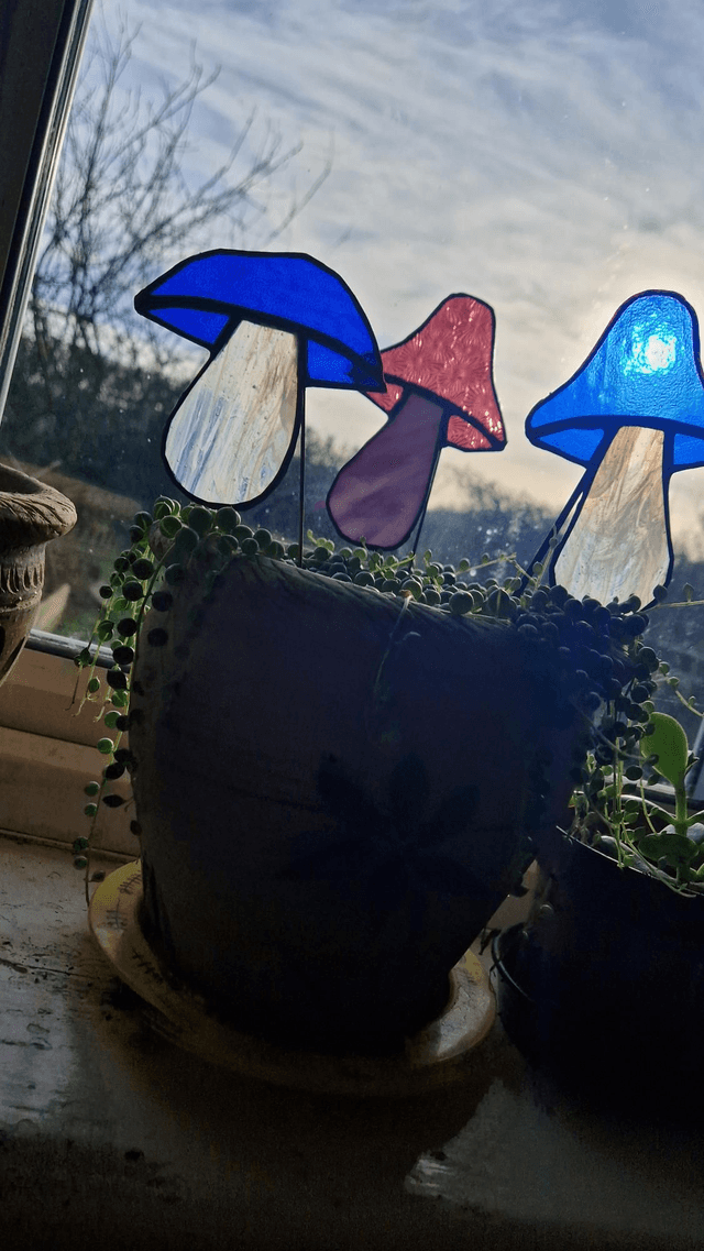 Mushdude Plant Buddy