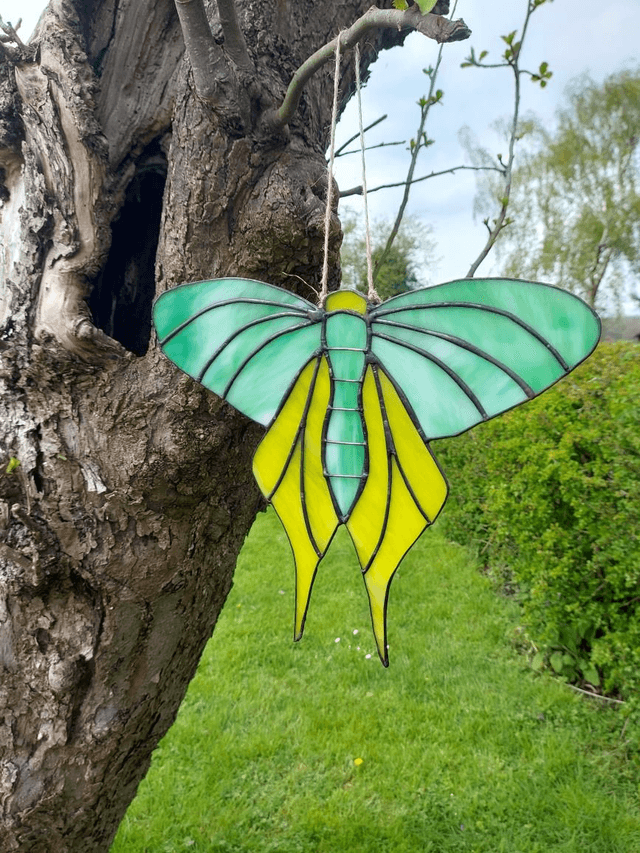 Moth