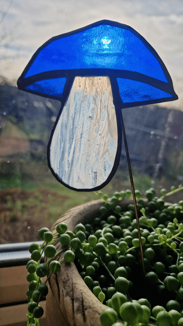 Mushdude Plant Buddy