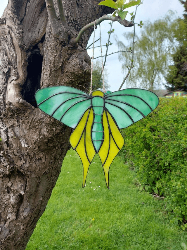 Moth